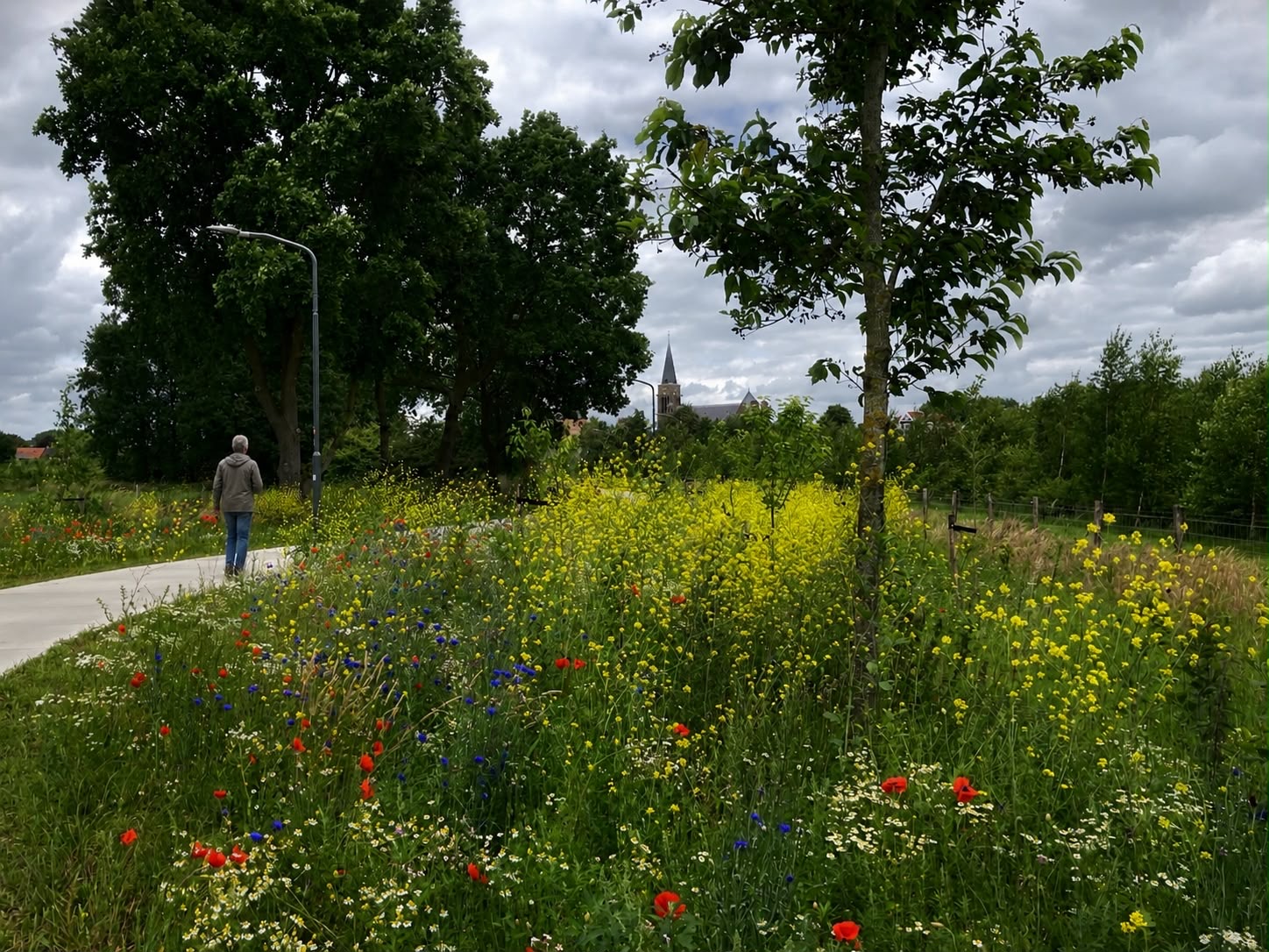 VGR Fietspad Silvolde Oude IJsselstreek (7).JPG
