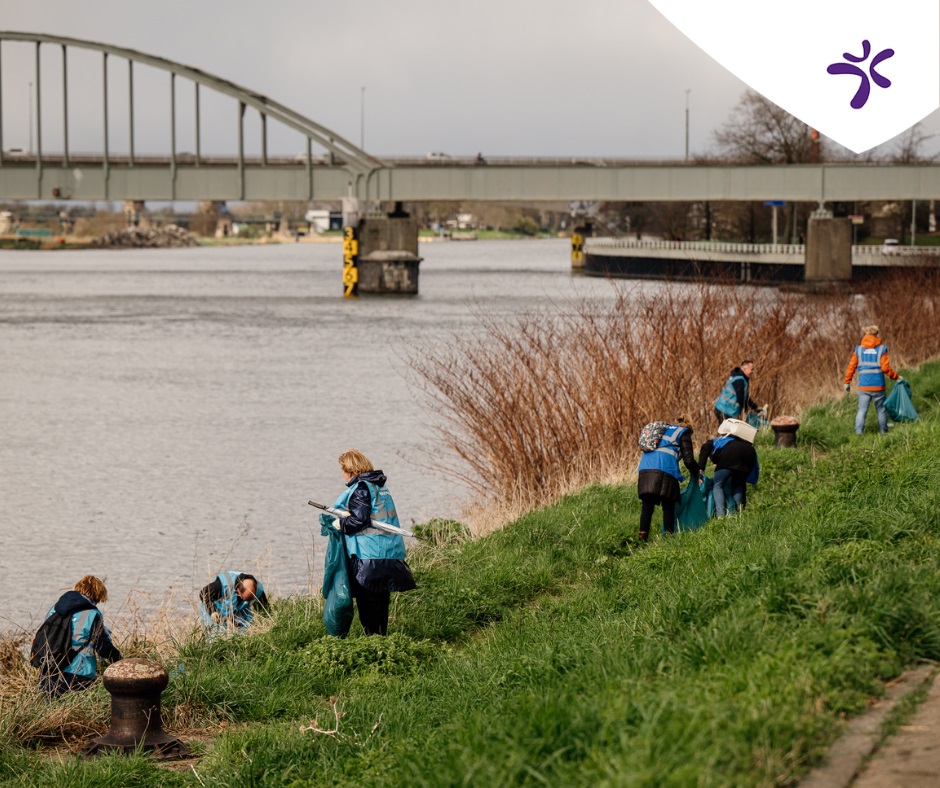 Maas Cleanup 5