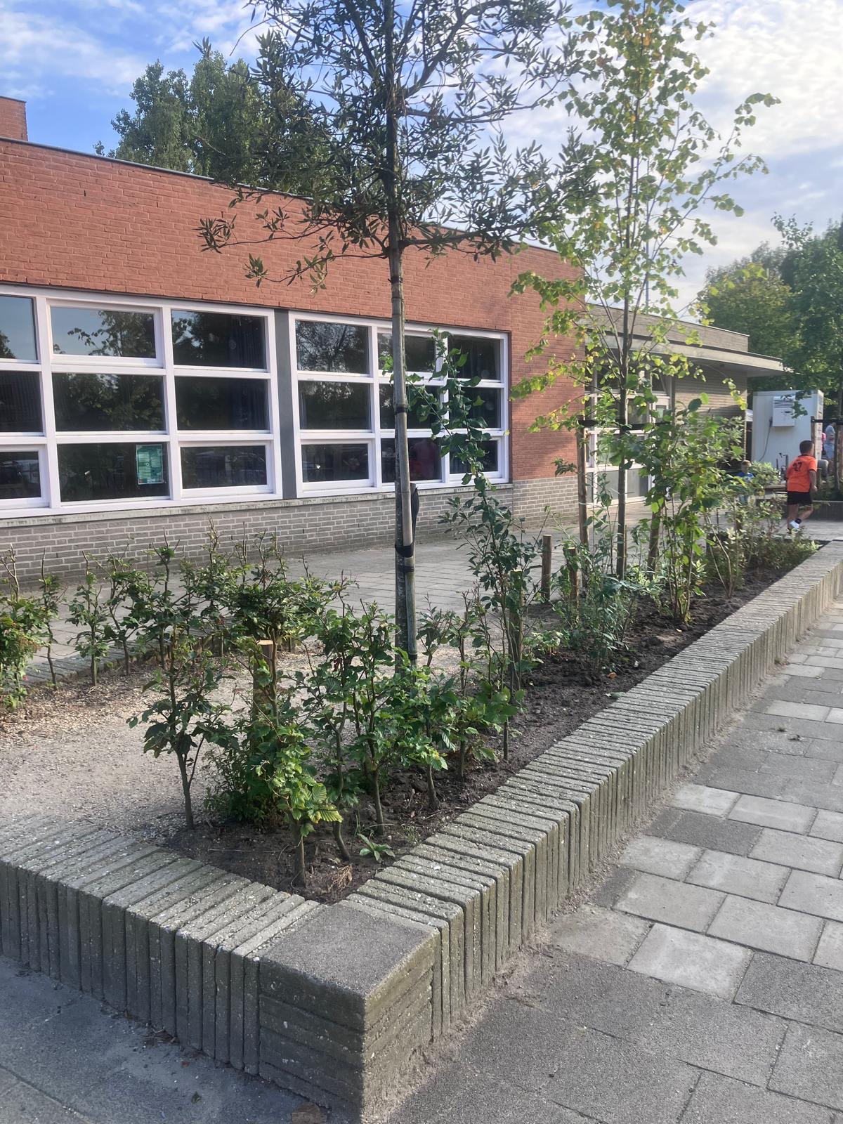 Vebego Groen Groene Speelpleinen Eerbeek Sterrenbeek (2)