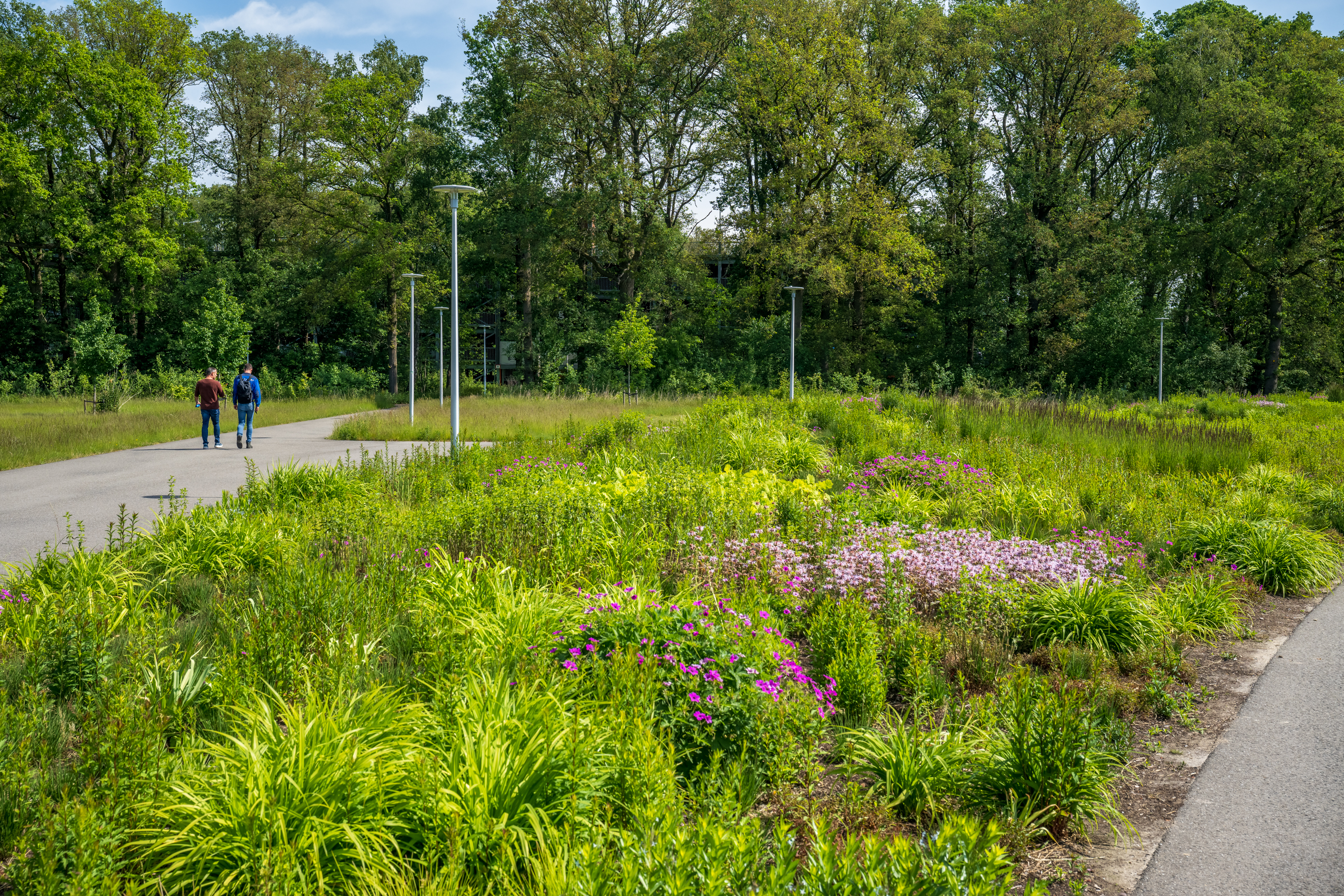 Vebego Groen groenadvies 1