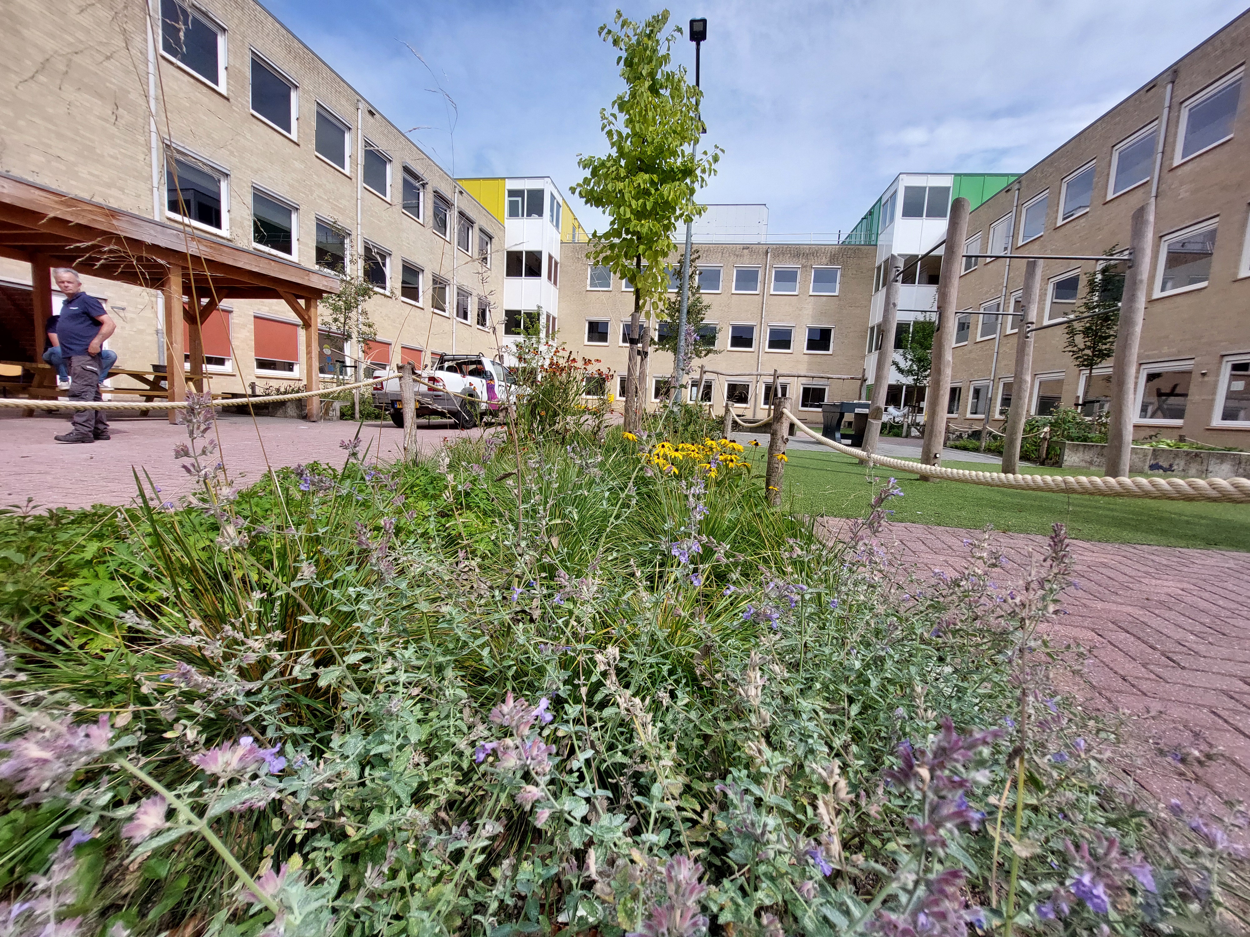 Vebego Groen Groene Speelpleinen De Ambelt Hengeveld College Zwolle (4)