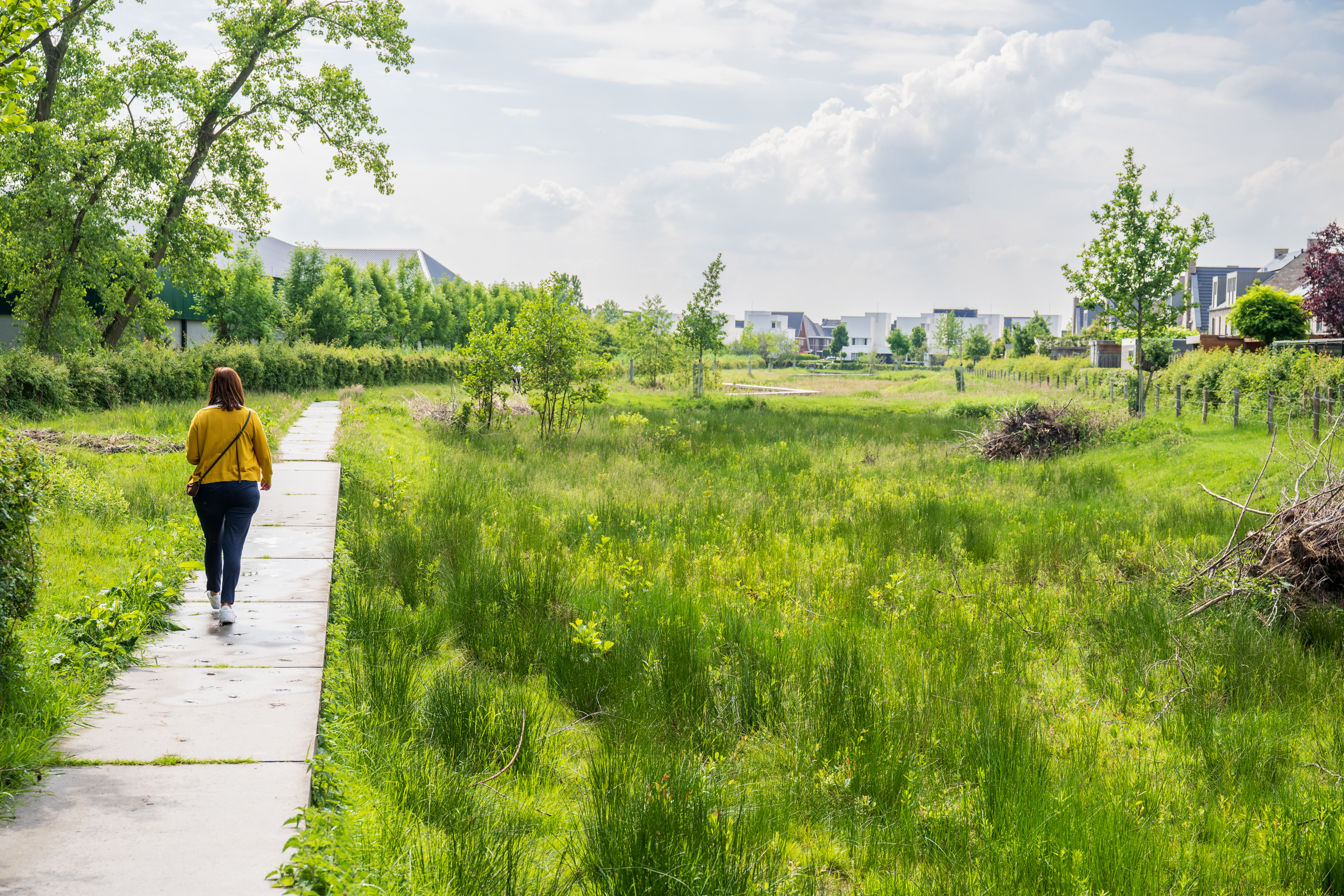 Vebego Groen groenadvies 7