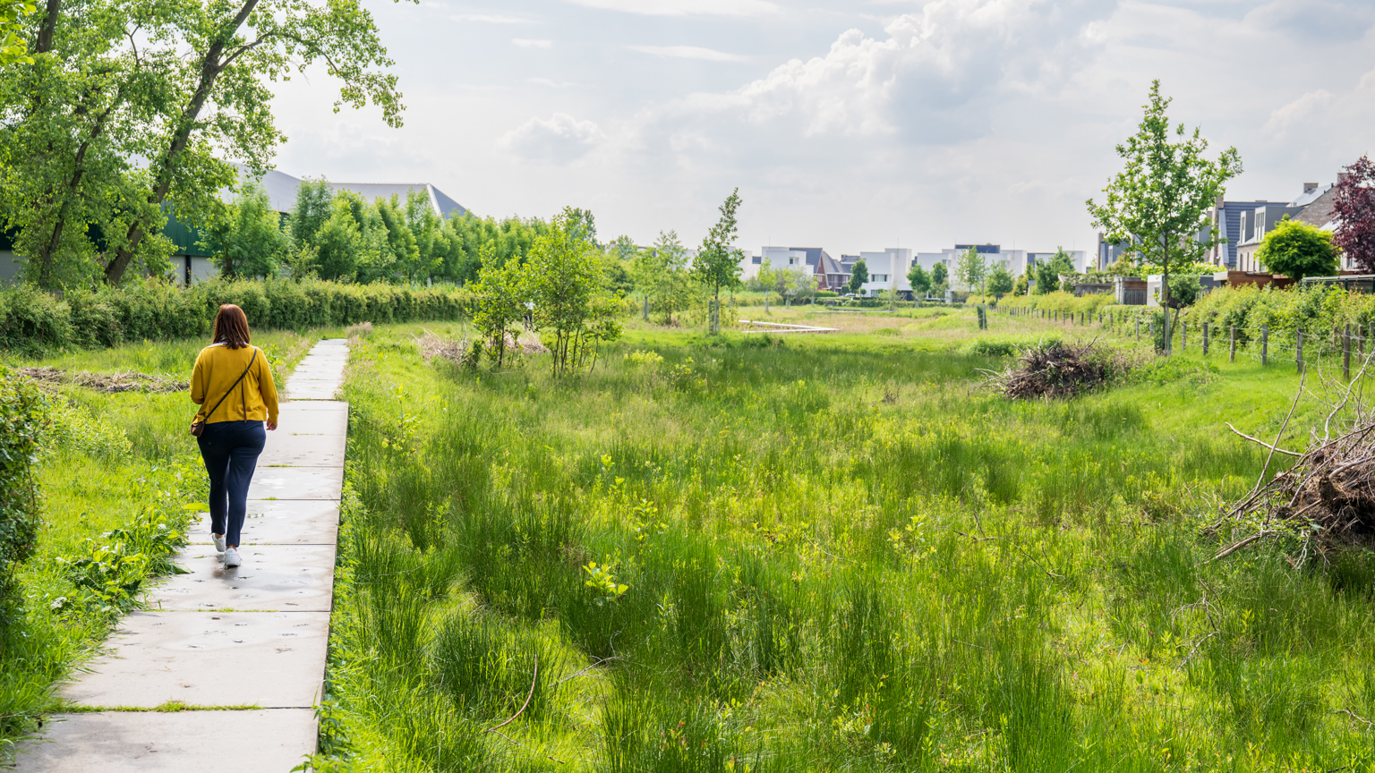 Vebego Groen groenadvies 7