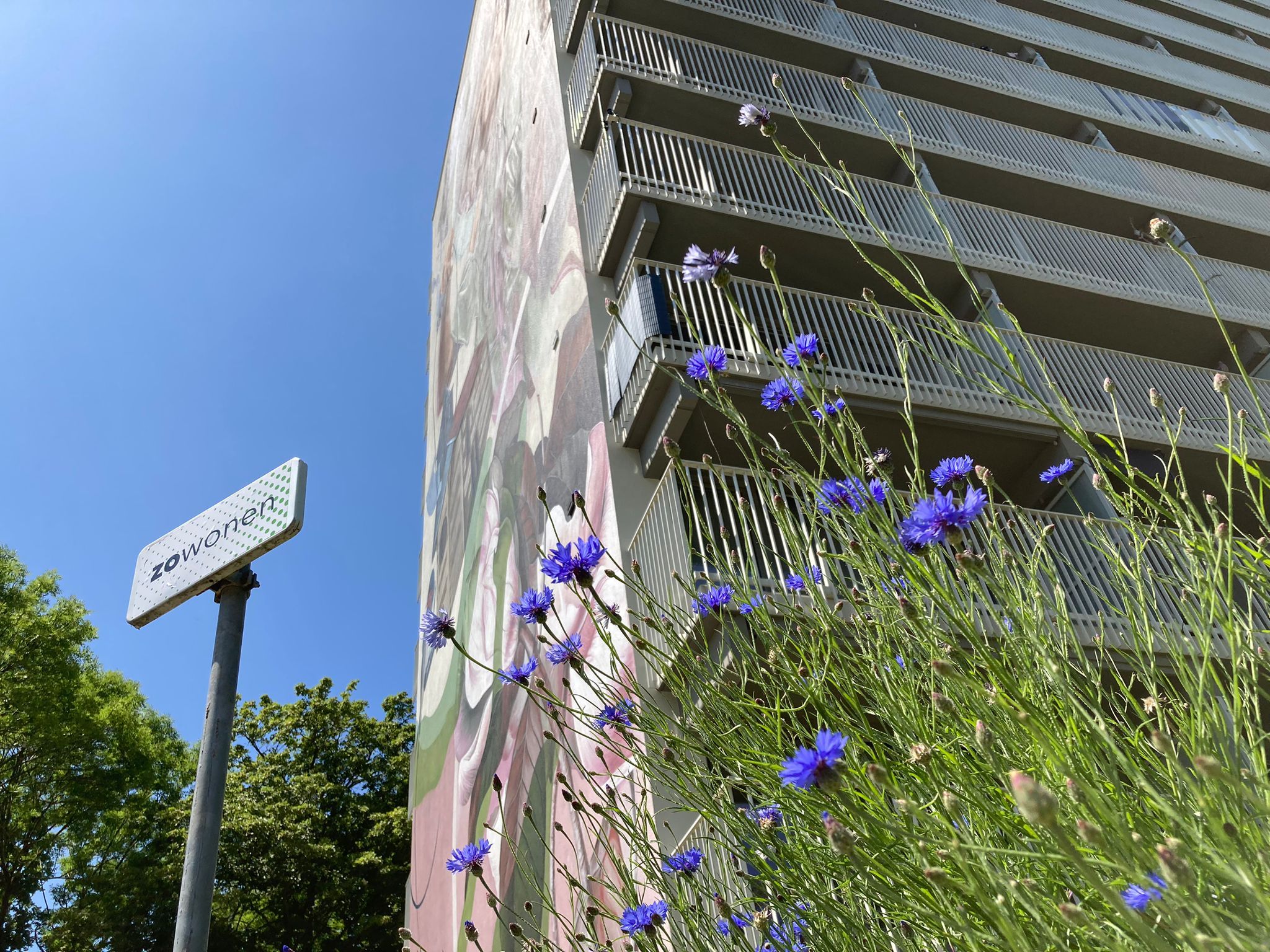 Vebego Groen Wonen Woningcorporaties Biodiversiteit Zowonen2