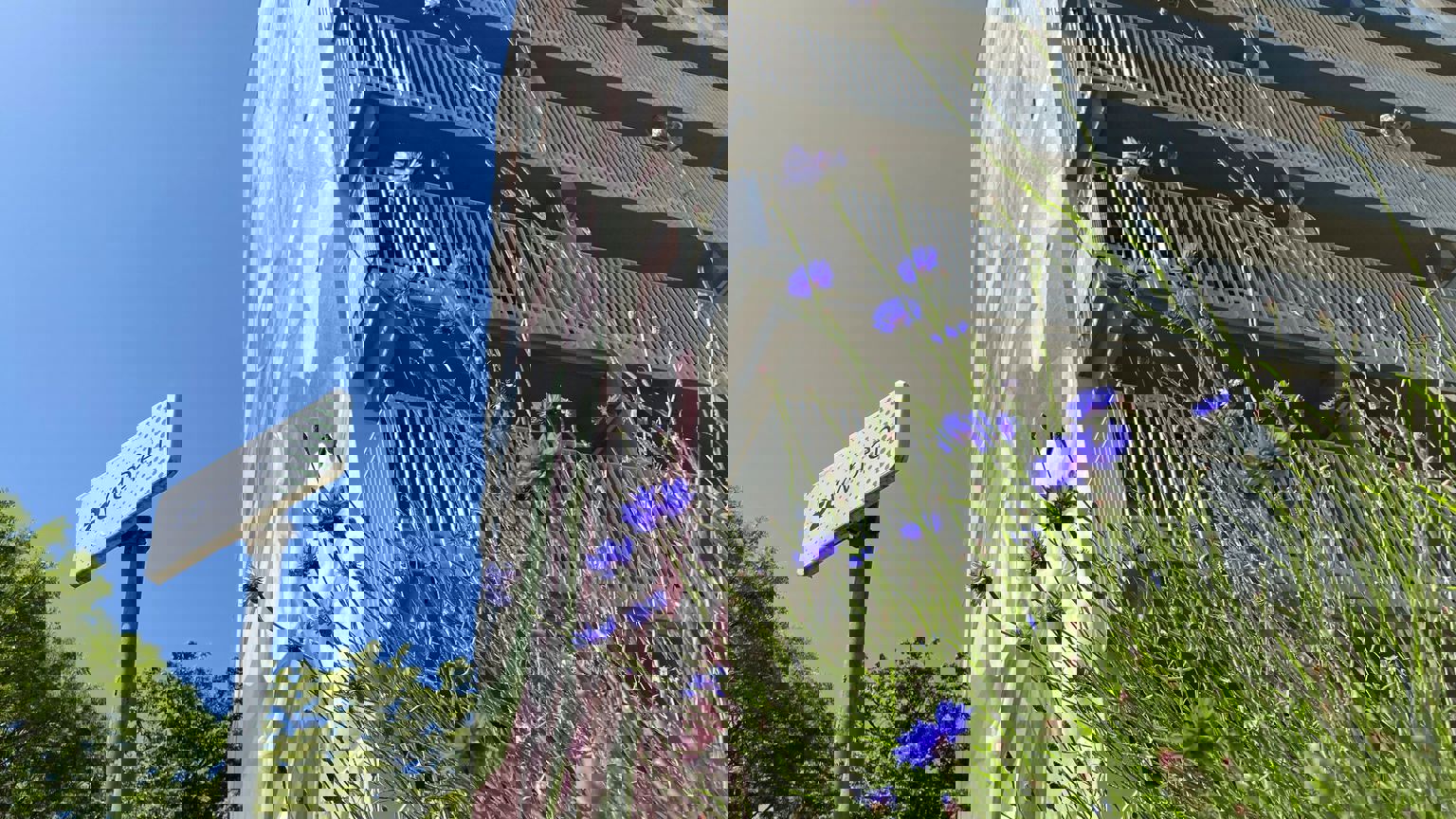 Vebego Groen Wonen Woningcorporaties Biodiversiteit Zowonen2