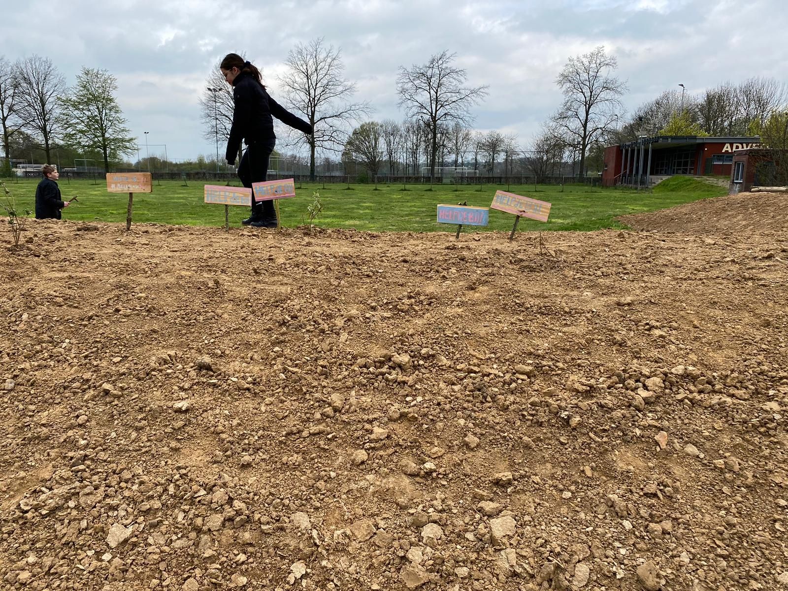 Vebego Groen Groene Leeromgeving Basisschool De Sprong Oirsbeek 2