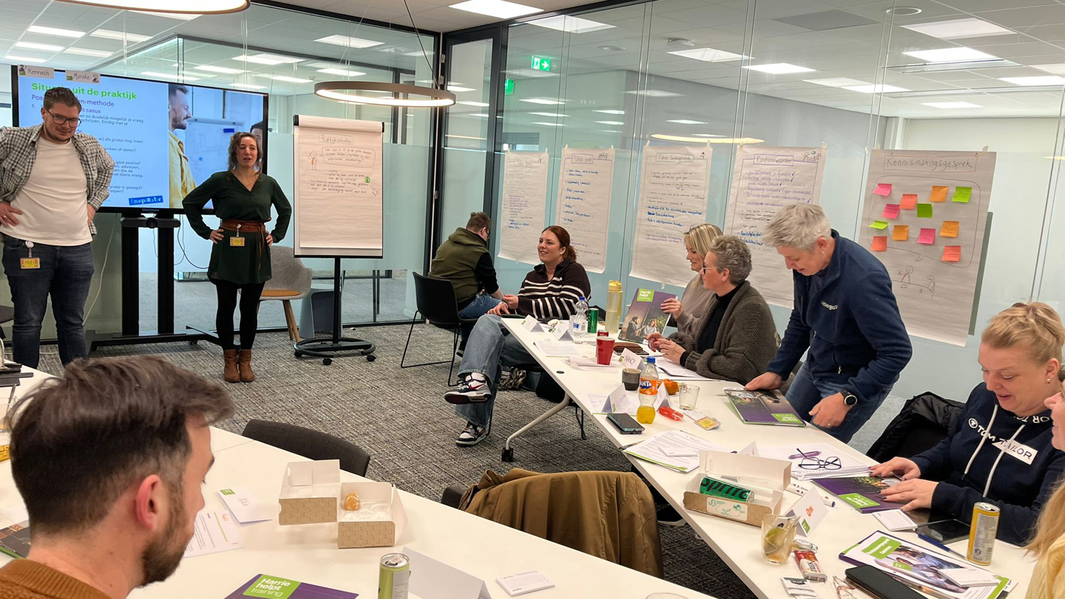 Harrie Helpt Eindhoven (7)