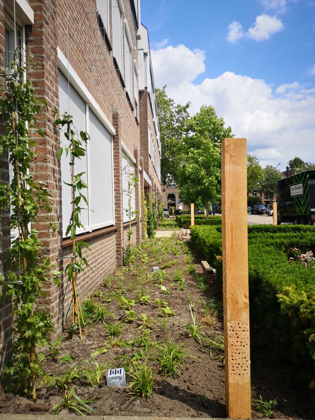 Gevelgroen En Waterberging Gemeentehuis Maashorst