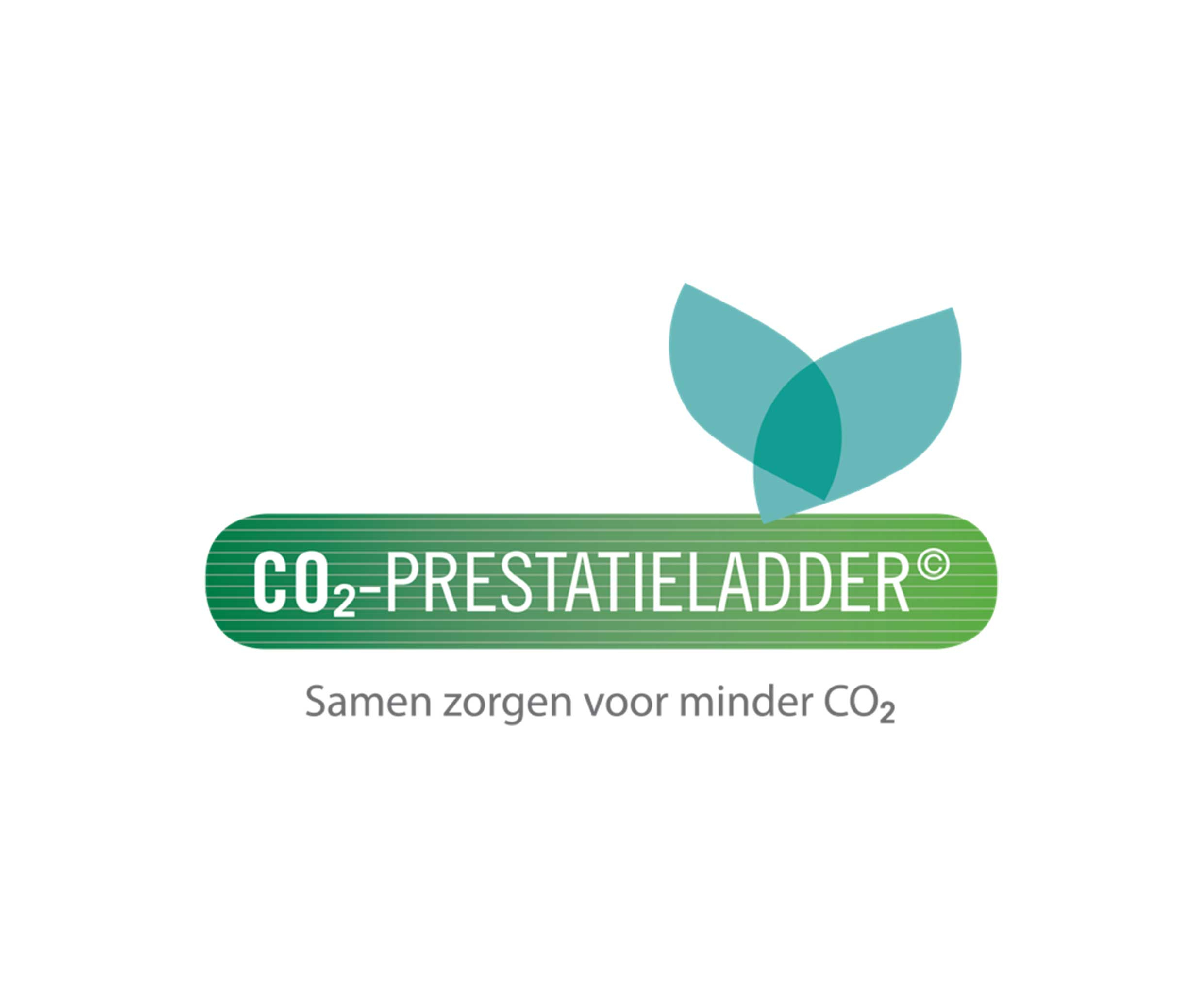 Co2p