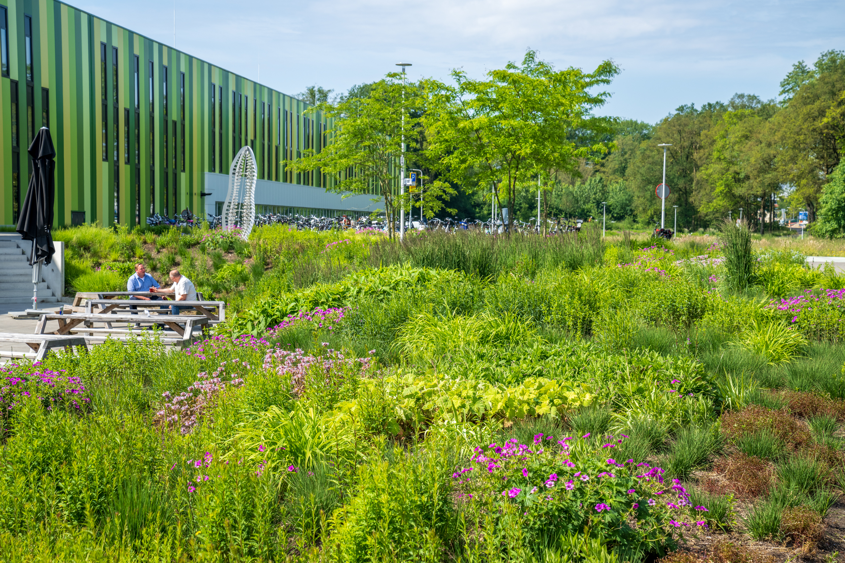 Vebego Groen groenbedrijf