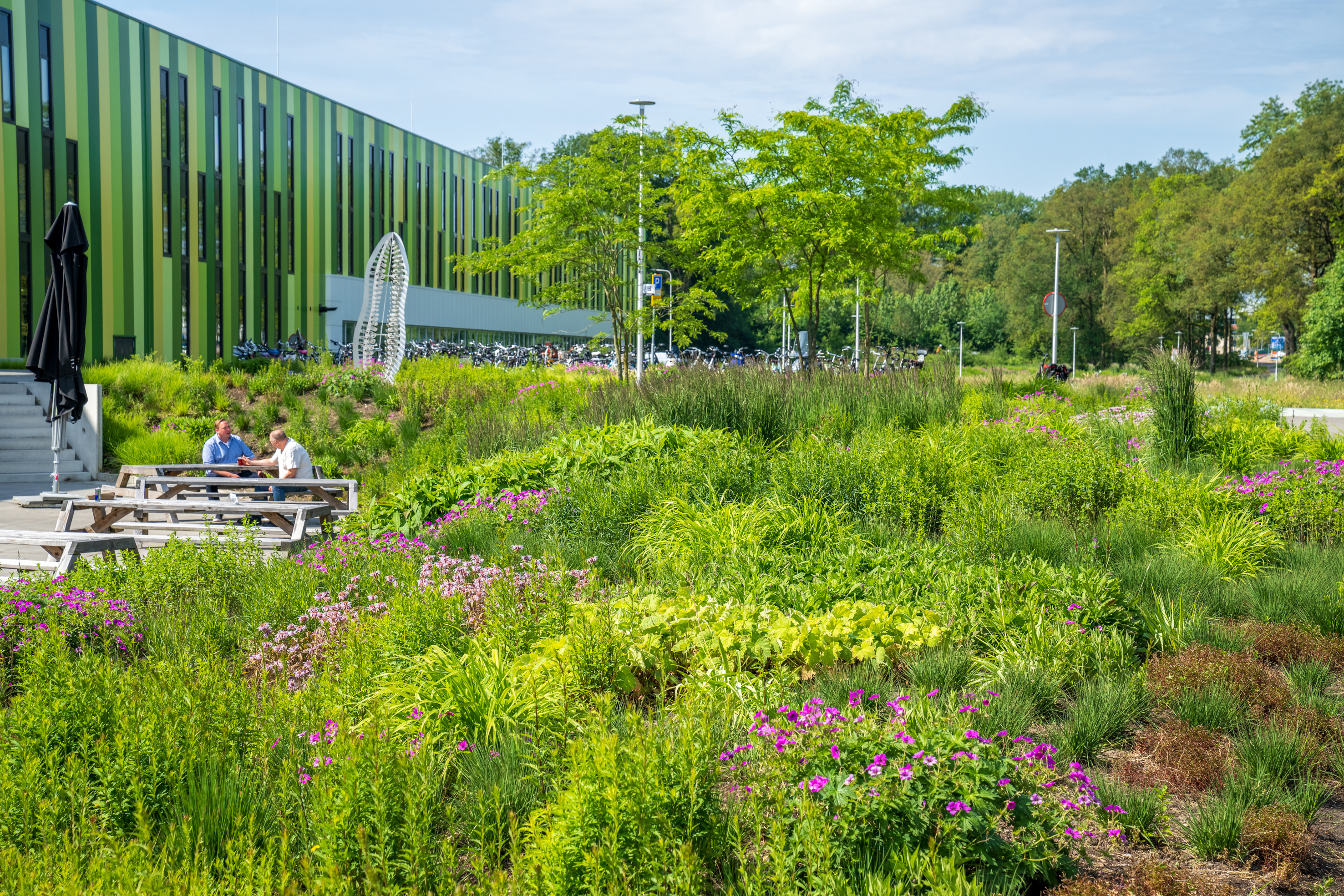 Vebego Groen groenbedrijf