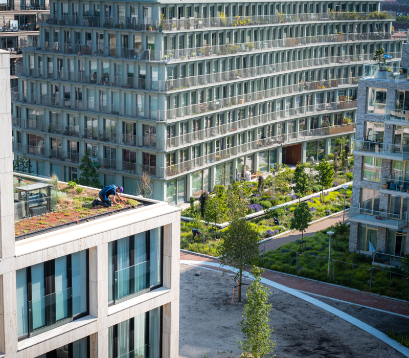 Vebegogroenjuni2025 4317