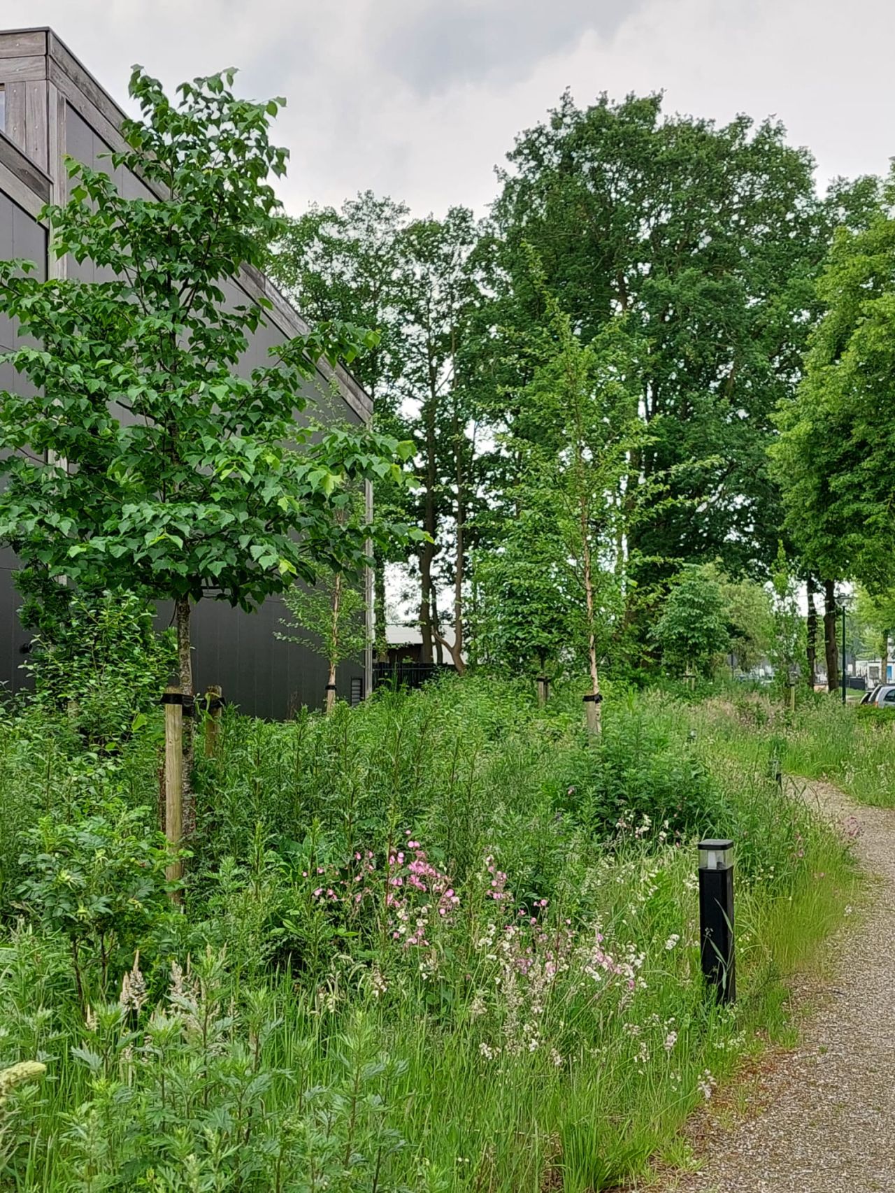 Vebego Groen Havep Bedrijven Bedrijfstuin 2