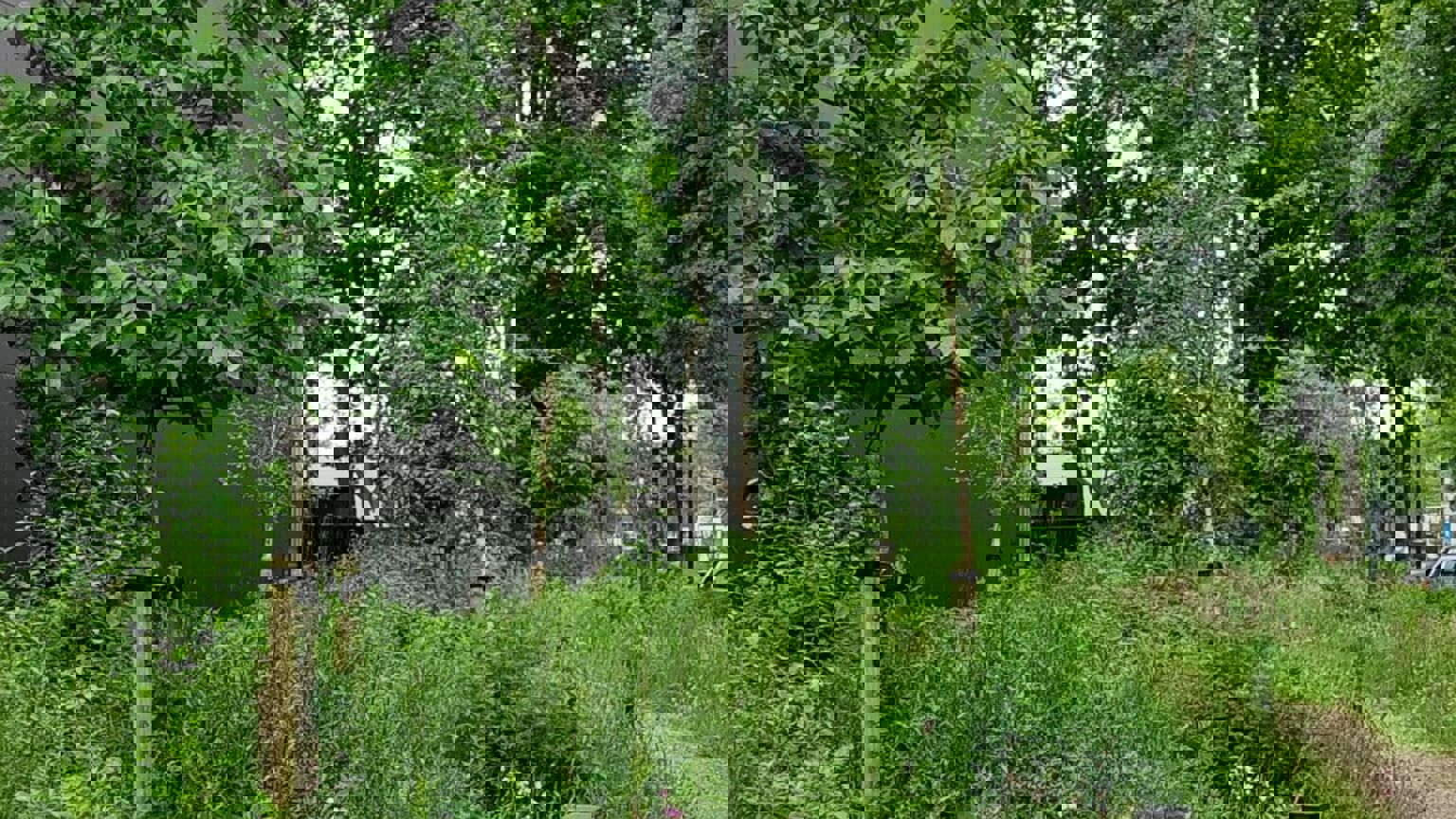 Vebego Groen Havep Bedrijven Bedrijfstuin 2