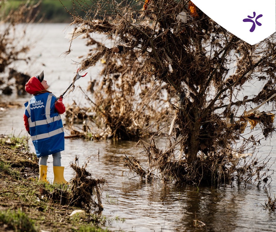 Maas Cleanup 7
