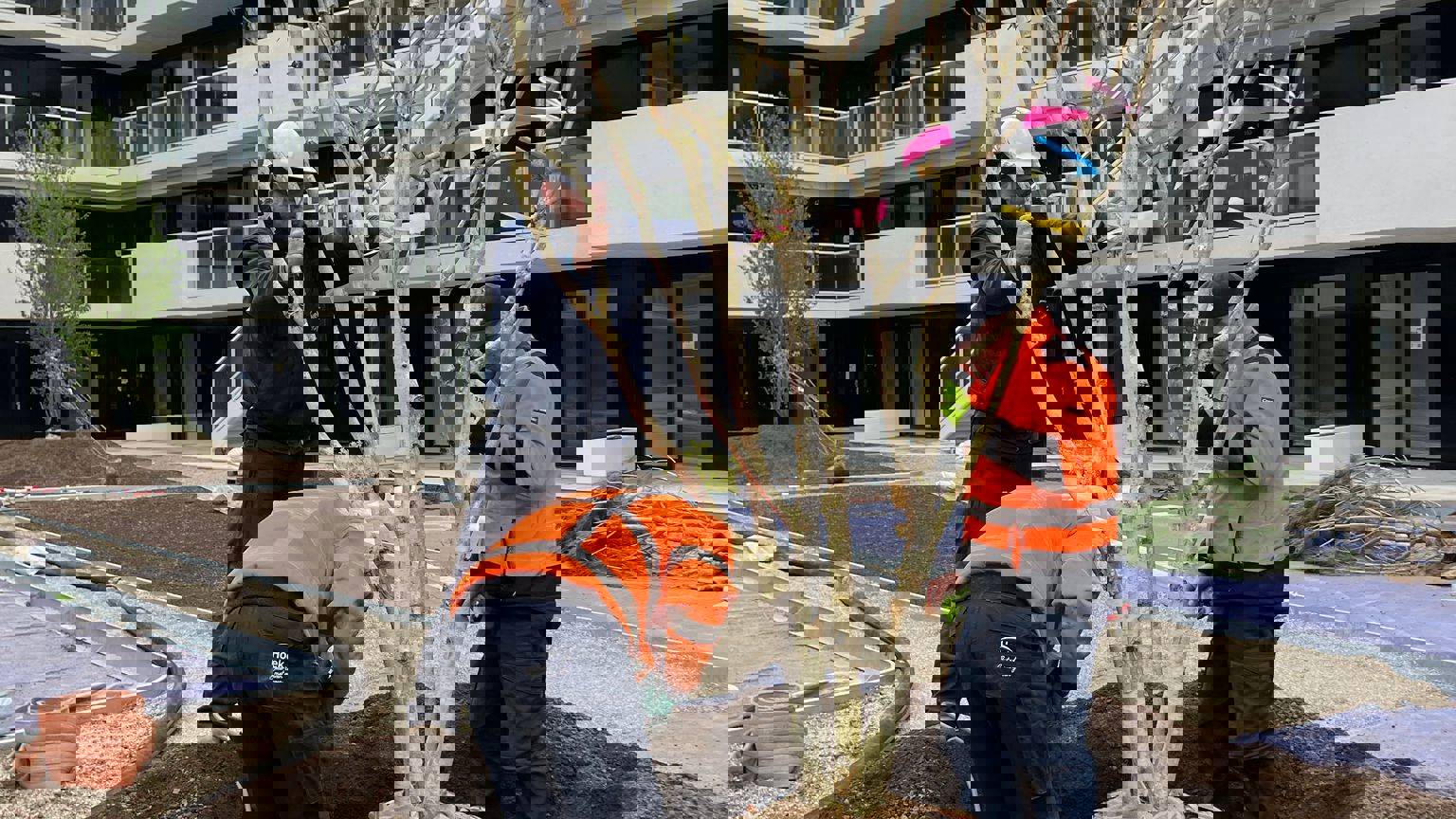 IMG 20240411 WA0008 (1)