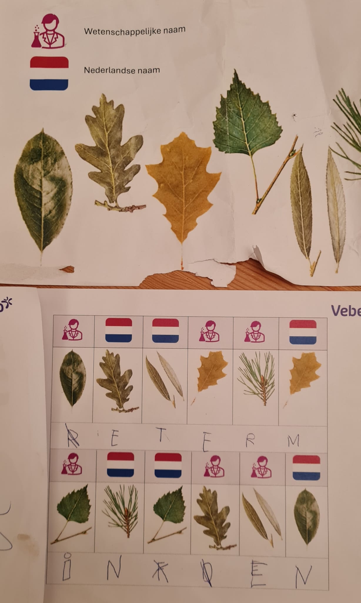 Whatsapp Image 2025 09 24 At 10.30.06 (4)