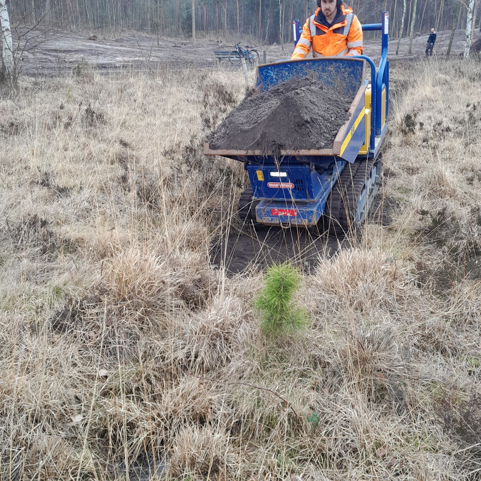 Vebego Groen Natuurmonumenten Brunsummerheide 1