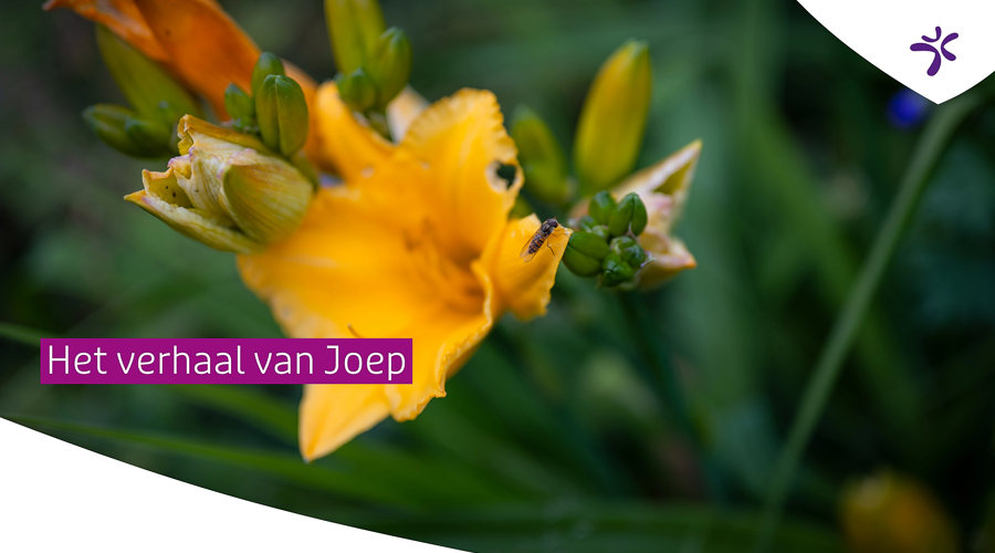 VerhaalvanJoep_thumbnail.png