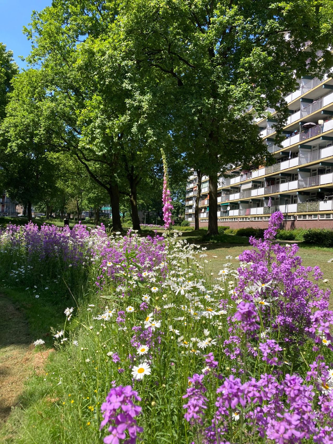 Vebego Groen Wonen Woningcorporaties Biodiversiteit Zowonen1