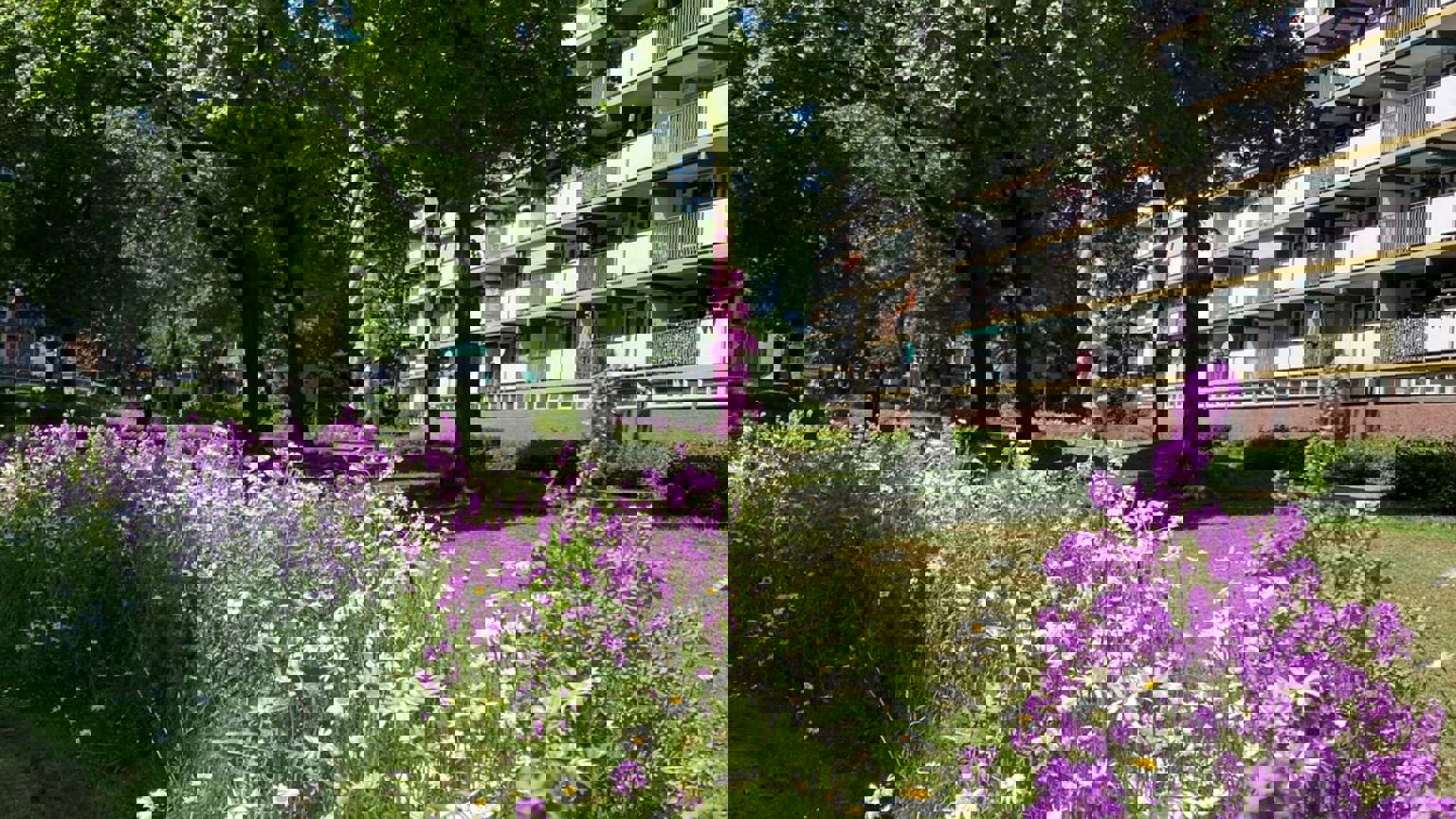 Vebego Groen Wonen Woningcorporaties Biodiversiteit Zowonen1