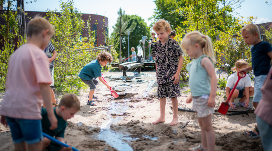 Vebegogroenjuni2025 4458