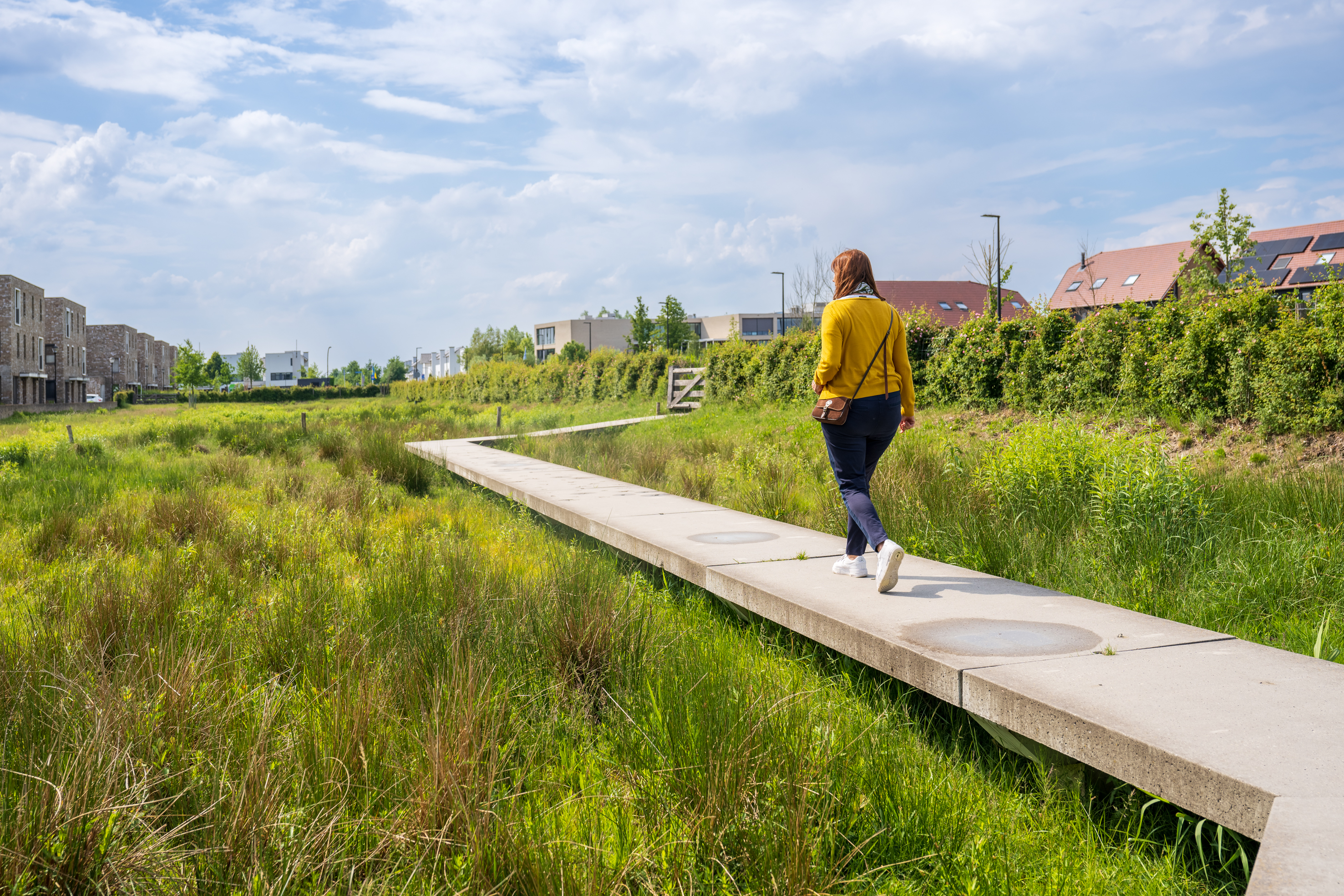 Vebego Groen groenadvies 9