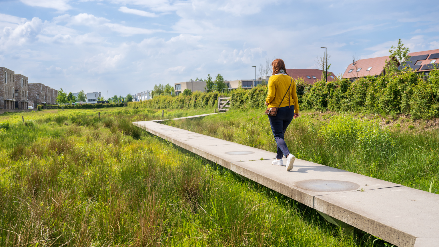Vebego Groen groenadvies 9