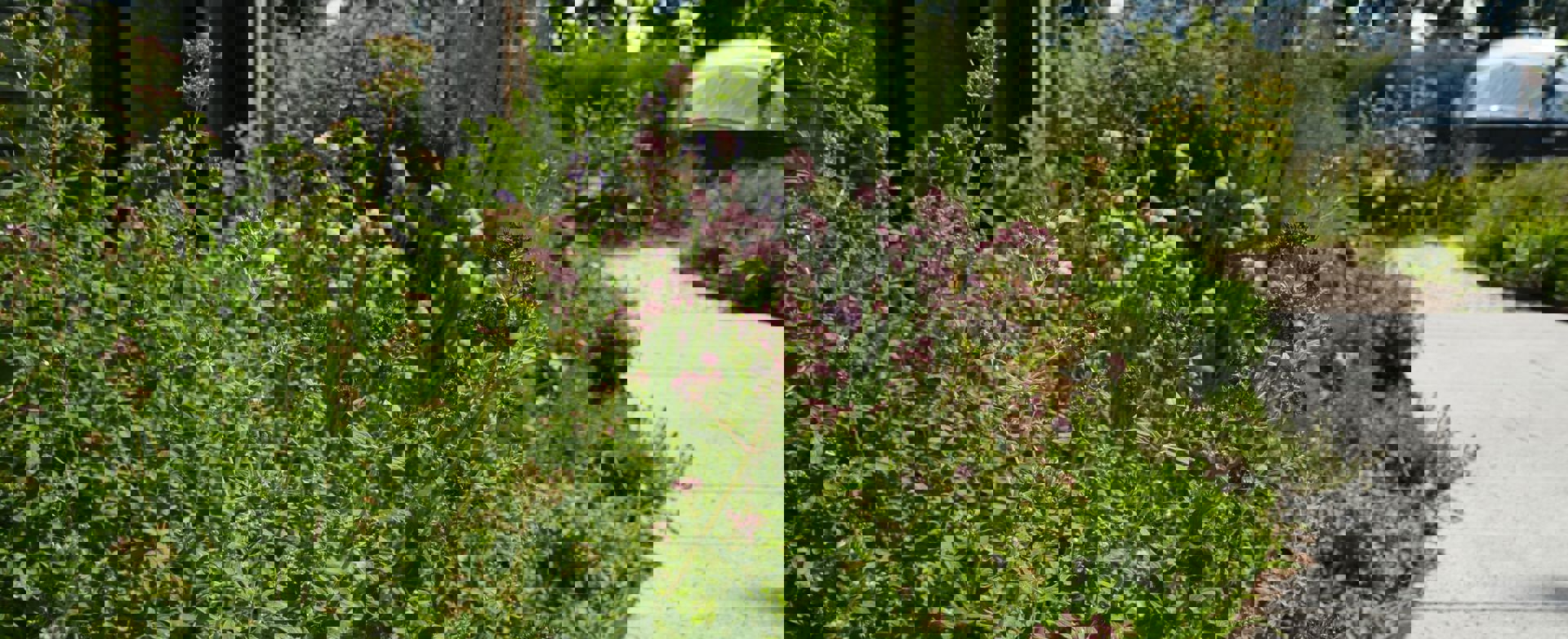 Vebego Groen Groenaanleg Particulier Circulariteit4