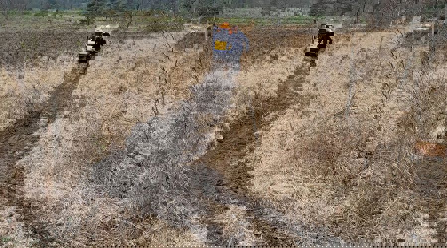 Vebego Groen Natuurmonumenten Brunsummerheide