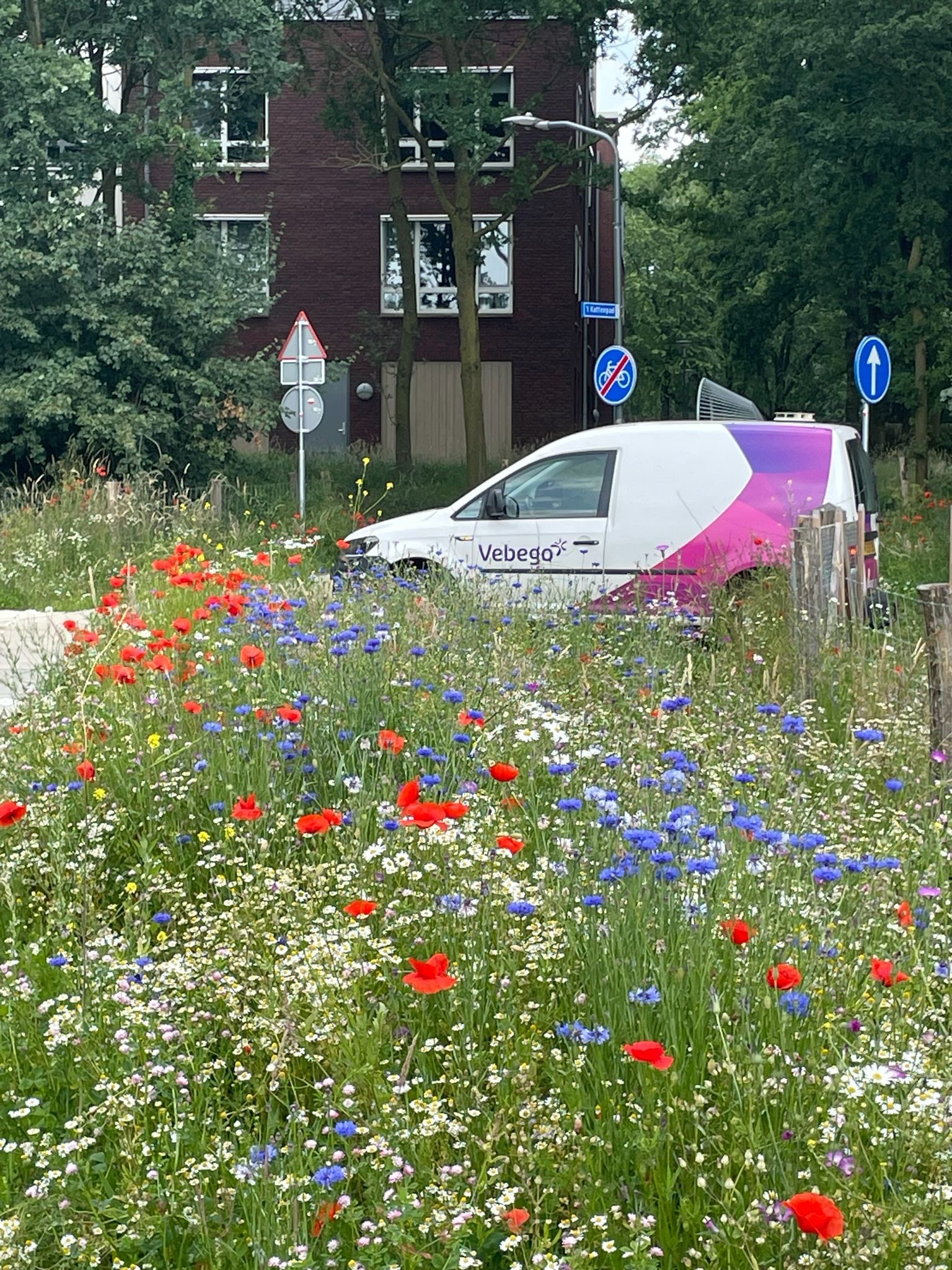 VGR Fietspad Silvolde Oude IJsselstreek (5).JPG